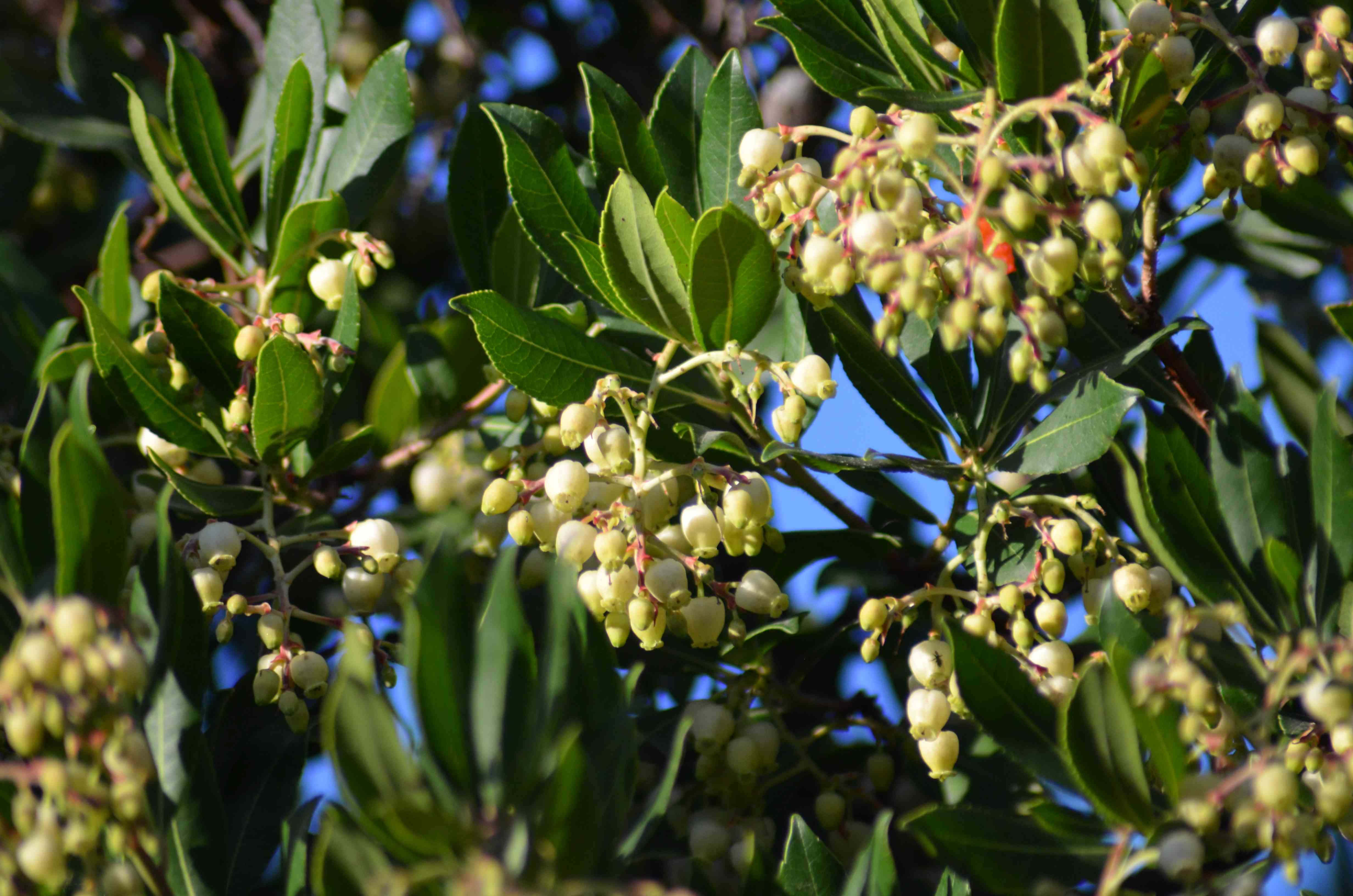 No s'ha trobat l'arxiu